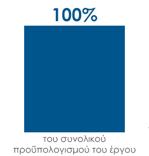 100% του συνολικού προϋπολογισμού του έργου