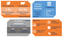 Αγροτικός τομέας: «κρυφό» πλεονέκτημα για τη Δυτική Ελλάδα